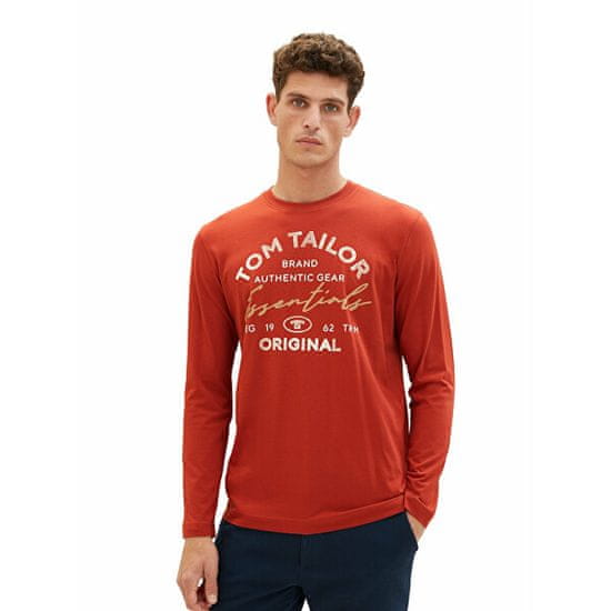 Tom Tailor Pánske tričko Regular Fit 1037744.14302