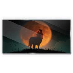 COLORAY.SK Skleneny obraz Zvieracie vlk mesiac nebo 120x60 cm