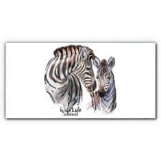 COLORAY.SK Skleneny obraz Zebra animal strips 100x50 cm