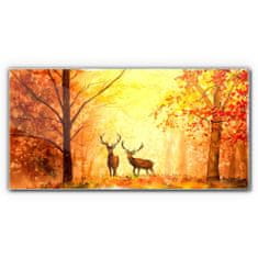 COLORAY.SK Skleneny obraz Jesenné lesné jeleň 100x50 cm