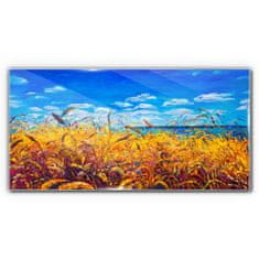 COLORAY.SK Skleneny obraz Lúka pšeničná obloha 120x60 cm