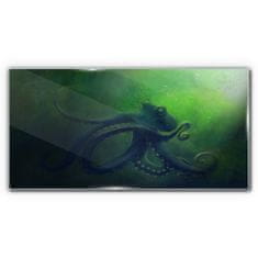COLORAY.SK Skleneny obraz Vodné ryby chobotnice 100x50 cm