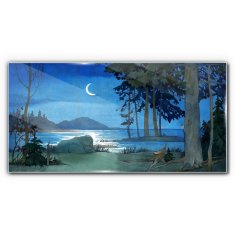 COLORAY.SK Skleneny obraz Maľovanie lesné morská noc 100x50 cm