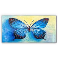 COLORAY.SK Skleneny obraz Hmyz červa motýľ 120x60 cm