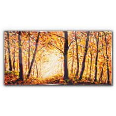 COLORAY.SK Skleneny obraz Jesenné lesné lístie 100x50 cm