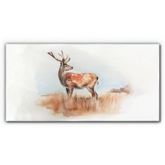 COLORAY.SK Skleneny obraz Akvarel animal deer 120x60 cm