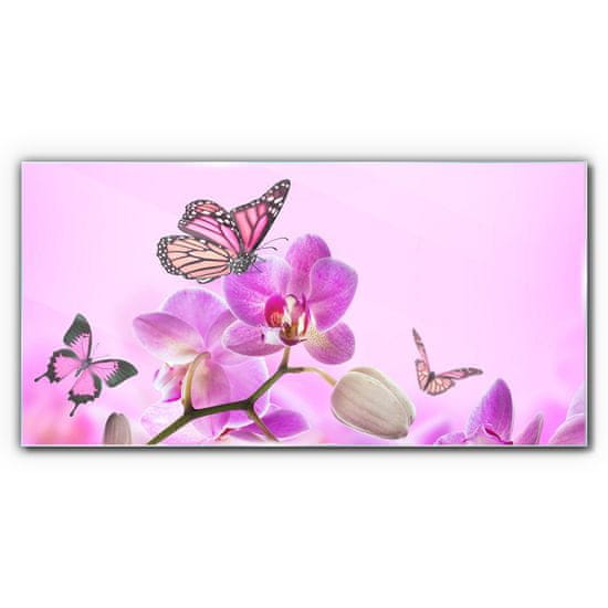 COLORAY.SK Skleneny obraz Kvety prírody motýľ