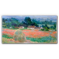 COLORAY.SK Skleneny obraz Claude mince 140x70 cm