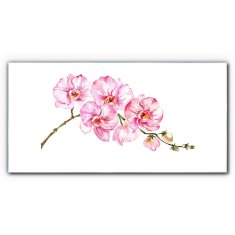 COLORAY.SK Skleneny obraz Maľovanie kvetinové konáre 100x50 cm