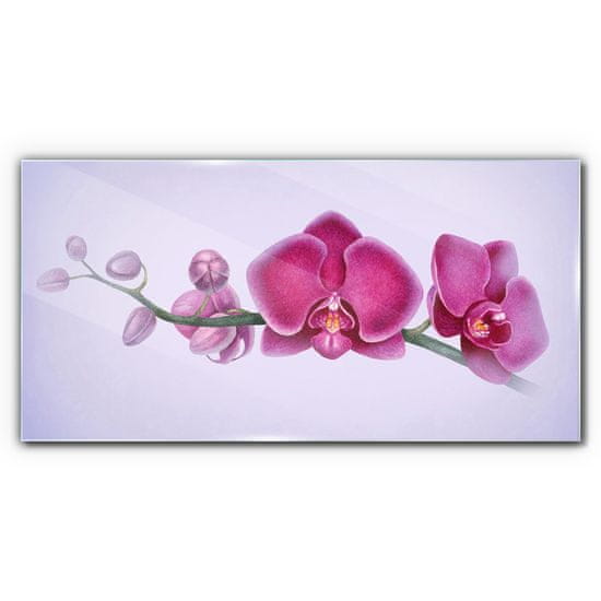 COLORAY.SK Skleneny obraz Akvarel kvetina vetva orchidea