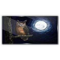 COLORAY.SK Skleneny obraz Strom vetva sova nočné mesiac 120x60 cm