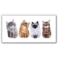 COLORAY.SK Skleneny obraz Maľovanie zvierat mačky 100x50 cm