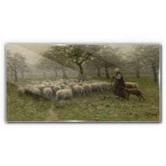 COLORAY.SK Skleneny obraz Rustikálne strom ovce 100x50 cm
