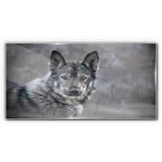 COLORAY.SK Skleneny obraz Zimné sneh zvieracie vlka pes 100x50 cm