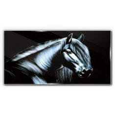 COLORAY.SK Skleneny obraz Abstraktné zvieracie kone 120x60 cm