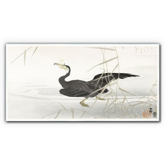 COLORAY.SK Sklenený obraz Ázia lake zvierací vták