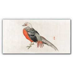 COLORAY.SK Sklenený obraz Moderné zvieracie vták 100x50 cm