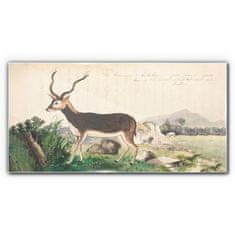COLORAY.SK Skleneny obraz Gazelle zvieratá kreslenie 140x70 cm
