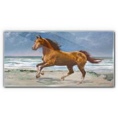 COLORAY.SK Skleneny obraz Pláž pobrežie kone mora vlny 140x70 cm