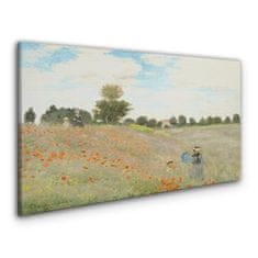 COLORAY.SK Obraz Canvas maki mince 120x60 cm