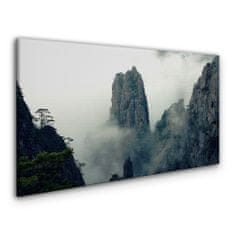 COLORAY.SK Obraz canvas Mountain fog hmlou strom mraky 120x60 cm