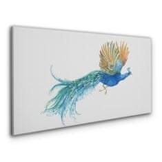 COLORAY.SK Obraz canvas zvieracie vták páv 120x60 cm