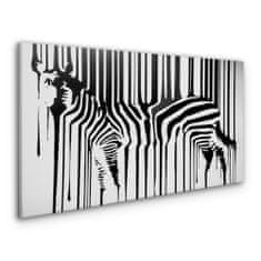 COLORAY.SK Obraz Canvas zebra 100x50 cm