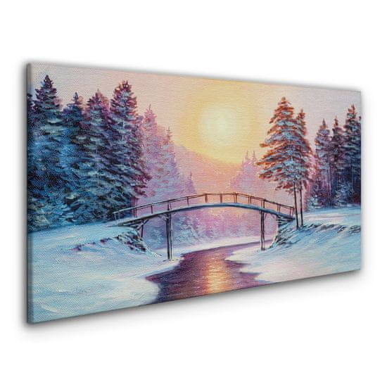 COLORAY.SK Obraz Canvas Maľovanie zimné stromy most