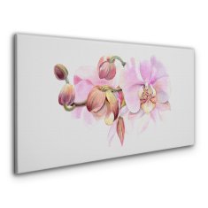 COLORAY.SK Obraz Canvas Akvarel orchidea kvetina 140x70 cm