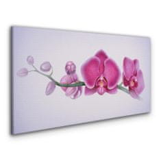 COLORAY.SK Obraz Canvas Akvarel kvetina vetva orchidea 120x60 cm