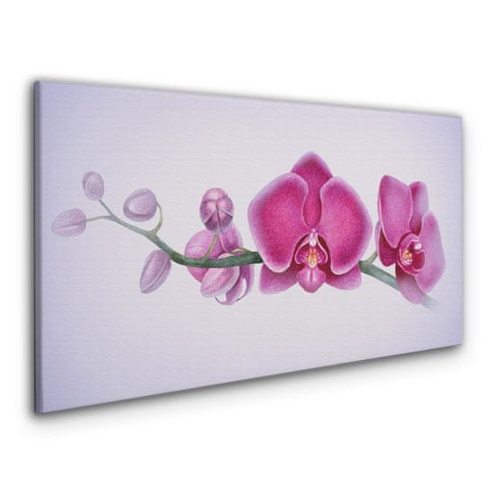 COLORAY.SK Obraz Canvas Akvarel kvetina vetva orchidea