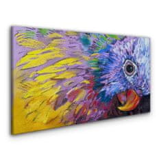 COLORAY.SK Obraz canvas Abstraktné zvieracie parrot 100x50 cm