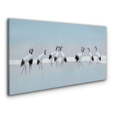 COLORAY.SK Obraz canvas zvieratá vtáky 120x60 cm