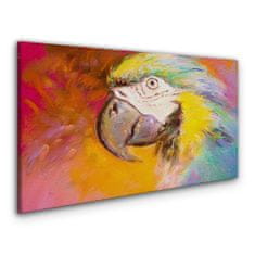 COLORAY.SK Obraz canvas Abstraktné zvieracie parrot 140x70 cm