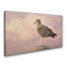 COLORAY.SK Obraz canvas Zvieracie vták Seagull Nebo 100x50 cm