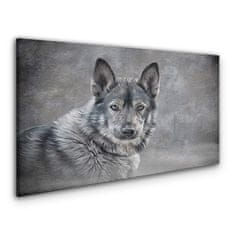 COLORAY.SK Obraz canvas Zimné sneh zvieracie vlka pes 140x70 cm