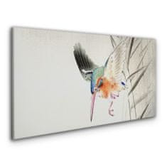 COLORAY.SK Obraz Canvas Zvieracie vták ohara Kowon 100x50 cm