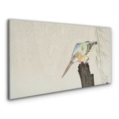 COLORAY.SK Obraz Canvas Zvieratá vtáky rybárik 120x60 cm