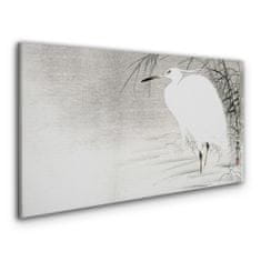 COLORAY.SK Obraz Canvas Zvieracie vták voda 100x50 cm
