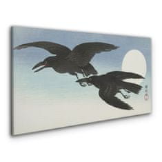 COLORAY.SK Obraz Canvas Zvieracie vták krádeže obloha 140x70 cm