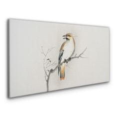 COLORAY.SK Obraz Canvas Pobočky zvierat vtákov 140x70 cm
