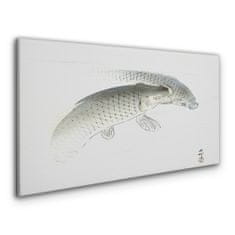 COLORAY.SK Obraz Canvas rybie zvieratá 100x50 cm