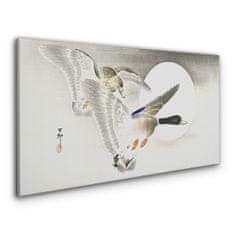 COLORAY.SK Obraz Canvas Zvieratá vtáčia kačica 120x60 cm