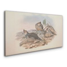 COLORAY.SK Obraz Canvas Vtáky zvieratá kreslenie 100x50 cm