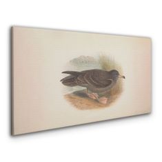 COLORAY.SK Obraz Canvas zvieratá vtákov 120x60 cm
