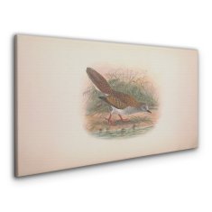 COLORAY.SK Obraz Canvas Vtáky zvieratá kreslenie 140x70 cm