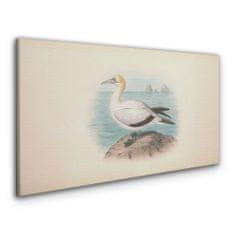 COLORAY.SK Obraz Canvas Vtáky zvieratá kreslenie 120x60 cm