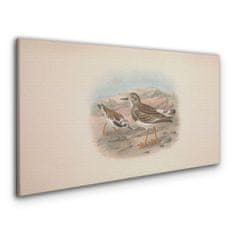 COLORAY.SK Obraz Canvas zvieratá vtákov 100x50 cm