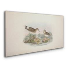 COLORAY.SK Obraz Canvas Vtáky béžová zvieratá 100x50 cm
