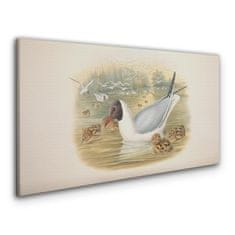 COLORAY.SK Obraz Canvas zvieratá vtákov 120x60 cm